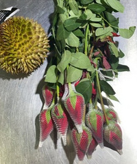 �����ﲻ���͵�ʵ�ڵ� ������ô����