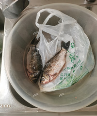 ȥ�����м��������ע��㣡��ȥ����û��ϸ����㰤�ס�