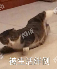 ��ǰ����������ԥʲô����Ҳ����������ȥ���ӵ�֢�ᣡ