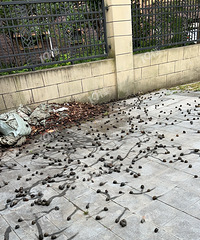 ̫̫̫�����ˣ����¹�Ԣ�����̵����������˸����ݣ��������ģ�