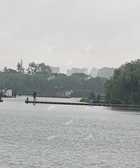 �ٲ����̵��Ƿ��ˣ�19¥Χ��ʵ̽���ݳ��ñ��˸ߣ������̶�������