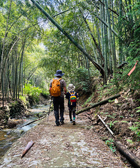 ����ͽ����Ҧ�����ڹŵ�������9���� ȫ�̶���ˮˮˮ