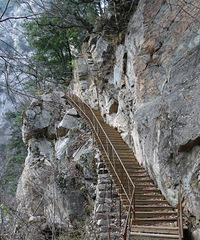 �мҳ����������ܿ� ���������ͽ����ɽ��