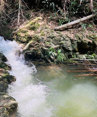 ͽ����Ҧ�����ڹŵ� ȫ�̶���ˮˮˮ