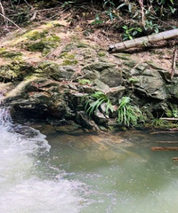 ��Ҧ�����ڹŵ� ȫ�̶���ˮˮˮ