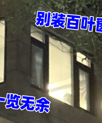 ���������ھӣ���װ��Ҷ���ˣ�