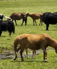 40���Ϲ����ճ����󲿷���ͨ�����˵��������������