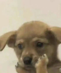 ��Ϊ�����ˣ��з������ٸ�12����񣬽��Ů���Ѻ��Ӵ���