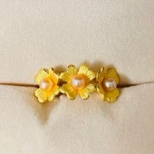 ����С�ɵĽ��θ��ÿ�