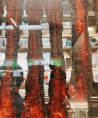 ��Ȼ�ڼ��˷�������������������Ĳ��գ���