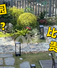 һ¥����԰������