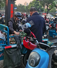 ��������� ���������ö����������