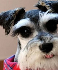 ��ר�� ������ �������� ����������Ե