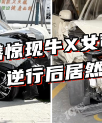 �����������ʣ������Ŀ��ģ�