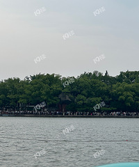 һ����ȥ���Ϻ����ĵ���ô���ˣ���