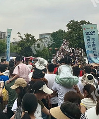 �º����������������������ˡ�