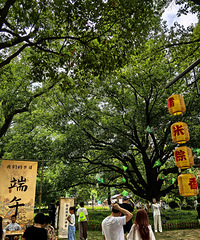 [����]42����Ҫ10�飡�ӳ������ͣ���շ�ʵ�ڳԲ���