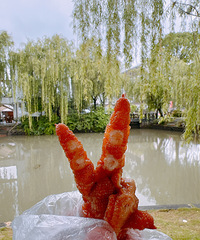 �ڼ��ˣ�·����ԶҲ����סҪ����ڽ�Ѽ���ģ�