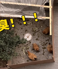 ¥���ھ�Ժ��������Ѭ��ѽ...