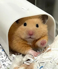 ������Ѫ����˵Ҫ���� ԭ���Ǹ�����ĺ���һ�����