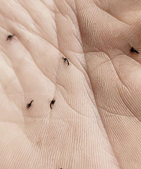 ���������ϰ������������˽��ң�̫Ӱ���ˣ�զ������