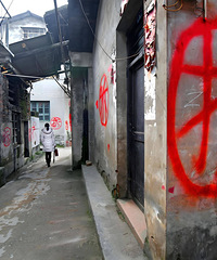 ���������ʲô�Ķ��ڲ�Ǩ���о����ڲ�Ǩ��Ĳ�������...