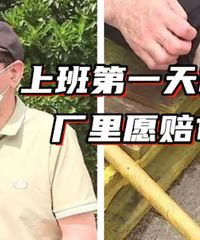 ʦ�����û���������