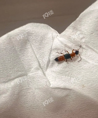 ���˾�������棿����Һ��������...ǧ��Ҫ�ģ�