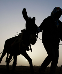 �����̥���֣��ܳԿ�����гԲ���Ŀ࣡