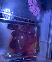 һ��ȫ��������࣡ζ�������˾��� һ����ζ��û��