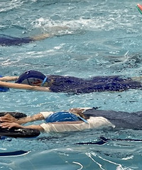 �Ƽ�һ����˵�е��컨���׶�԰