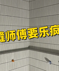 ȫ��Сש ��������Ҫ����Ǯ...