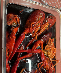 ��ĩ������ �������������С��Ϻ ���ڴ�