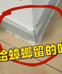 �߽�������죡�Ǹ����������