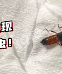 ��Һ��������...ǧ��Ҫ�ģ�