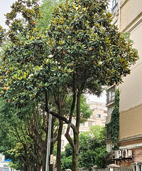 С���̻��ܲ��ܲ�Ҫ��ͷʽ�޼� 23�꿳�����ڻ�û�����