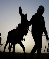 �����̥���� �ܳԿ�����гԲ���Ŀ�