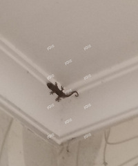 ��Ȼ����һ�� ɶ�������ˣ��Ҽ�ʮ��¥��ôҲ�бڻ�����