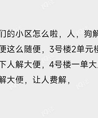 ���ˣ��˺͹�����С���������ʺ�ˡ���С������ס��