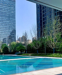 ˫Ϫ������ӡ��Ҫ�Ʒ��ˣ���׽���Ŀǰ����Ч�������룿