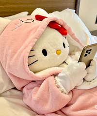 �о����ڵ�С���Ӷ���ϲ�����ֻ� Σ��̫�� ����ô���ֻ���