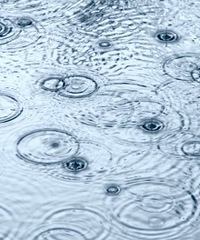 ������˫ְ�������ţ�������ѧ�����Ǵ����� ���ְ��