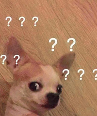 �ܶ���˵�����Ѿ��������Ʒ�ˣ���Ϊʲô�����Ը�򳵲��򷿣�