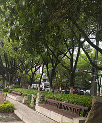 �ƶ��κ̷ֹ�˾����ӱ��̵����λ��ˣ�˭��æ����������