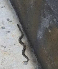 ����8��38��"�߾���"������·�����˱�ҧ��������ֱ��������ѡ�