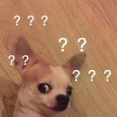 �����������������£���֪��զȰ��...