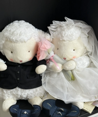 �յ��ÿɰ��Ľ�������ۣ��������� �Դ���ζ��