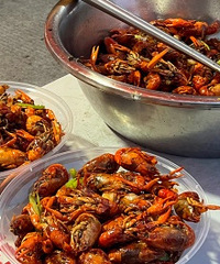 ����һ��һ�ȵ���Ϻ�ڣ����һ�γԵ�ˬ��