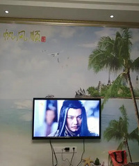 你们见过最丑的家装是什么样的?