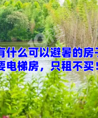 ������û��ʲô���Ա���ķ��ӣ�